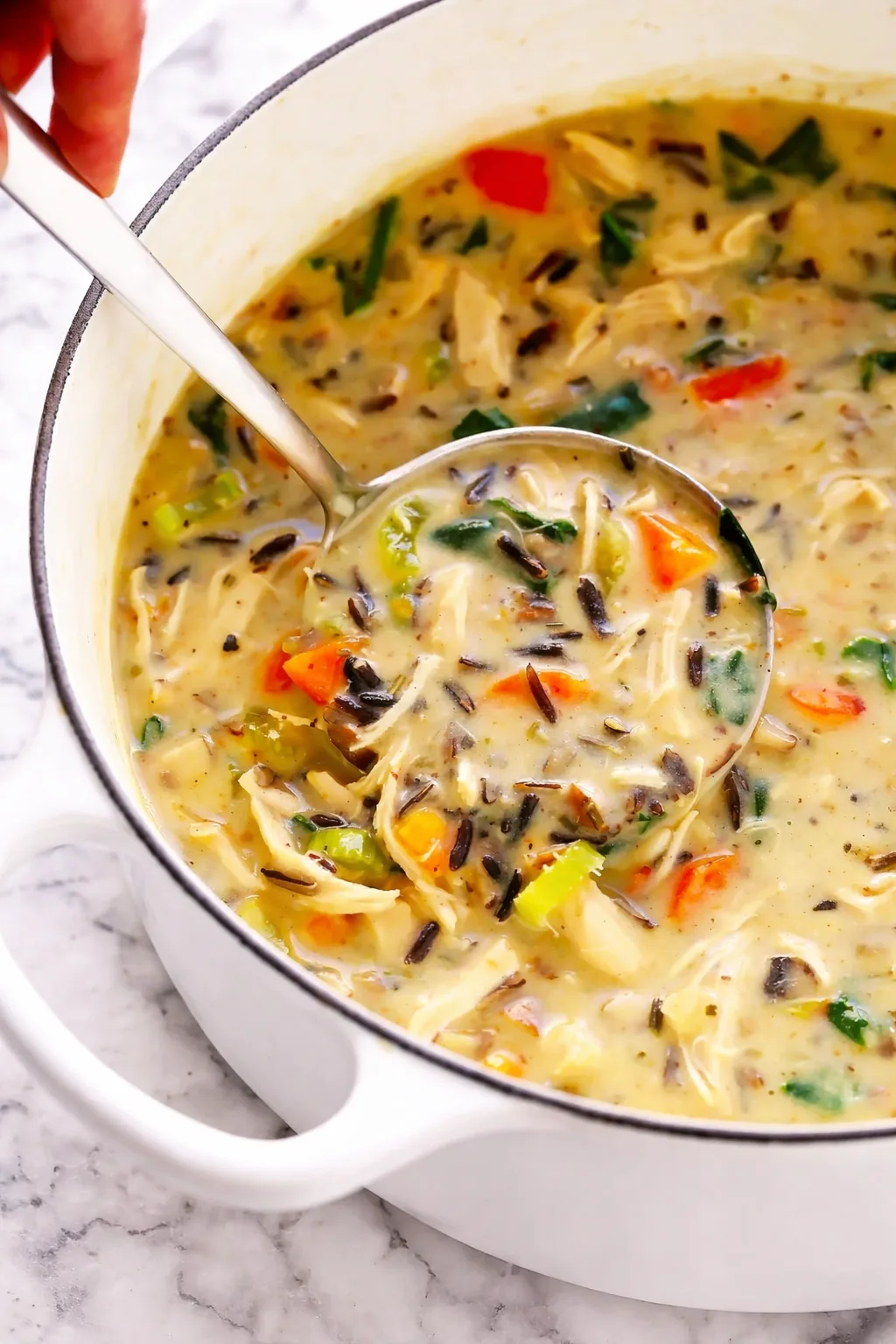 Chicken and Wild Rice Soup